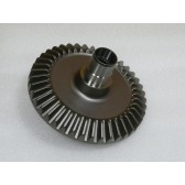 GEAR, RR. RING (41T)